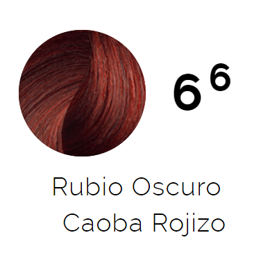 TINTURA ISSUE SACHET 66 RUBIO OSC CAOBA ROJ