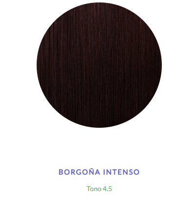 TINTURA KIT 919 4.5 BORGOÑA INTENSO