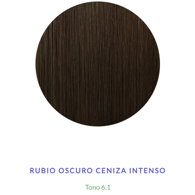TINTURA KIT 919 6.1 RUBIO OSCURO CENIZA INT