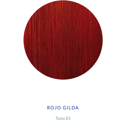 TINTURA KIT 919 85 ROJO GILDA