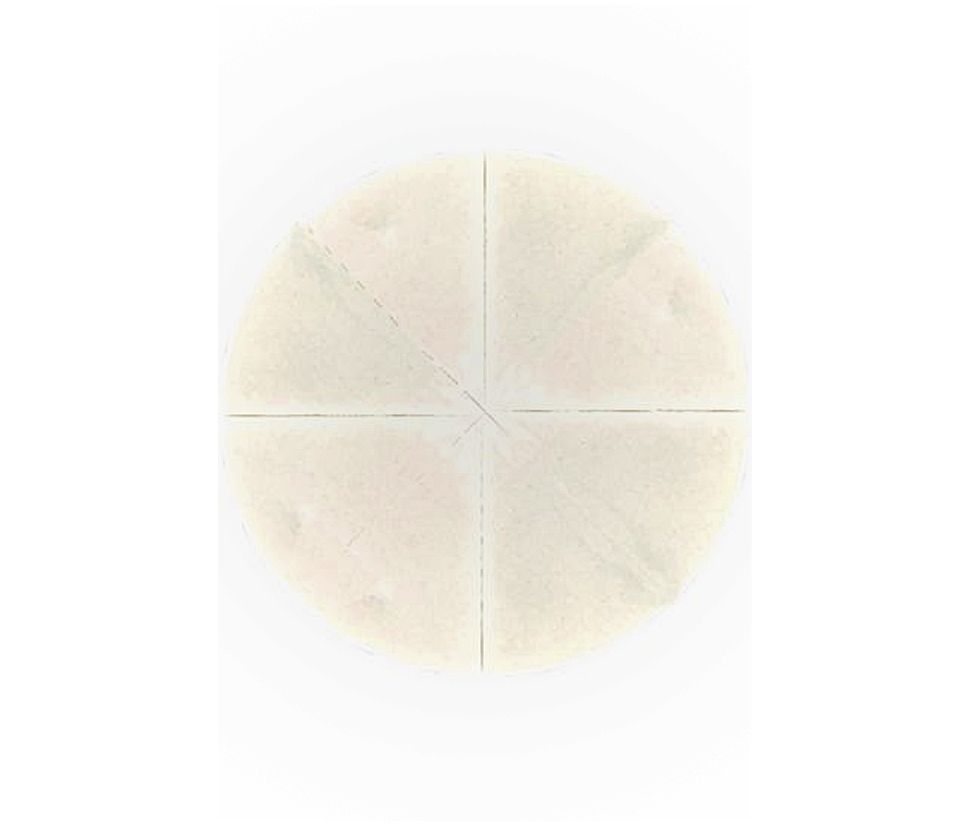 MAS CISNE DIVIDIDO ECONOMICO