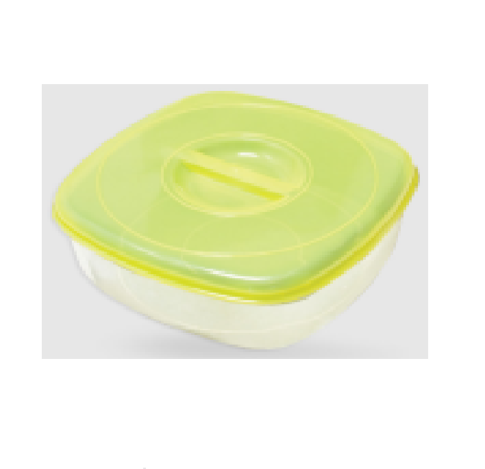 RECIPIENTE P/FREEZER Y MICRO GRANDE 2,95 LTS