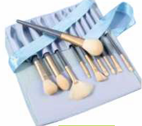 SET BROCHAS Y PINCELES 10U