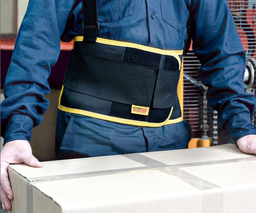 [2295] FAJA DE TRABAJO WORK UP TS