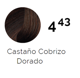 [40032082] TINTURA ISSUE SACHET 443 CASTAÑO COBRIZO DORADO