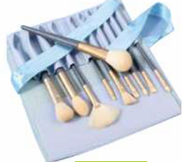 [ACH003059] SET BROCHAS Y PINCELES 10U