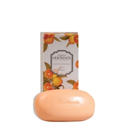 [6232] JAB VERTIENTE CITRUS 100GR